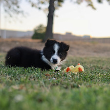 IMG_3280.jpg