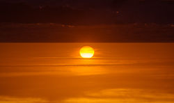 Flipped_perspective (1 of 1)