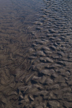 bedform_flow (1 of 1)