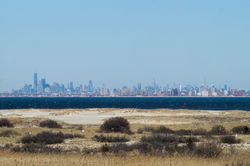 manhattan_lookout (1 of 1)