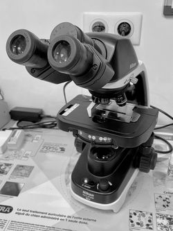 Microscope