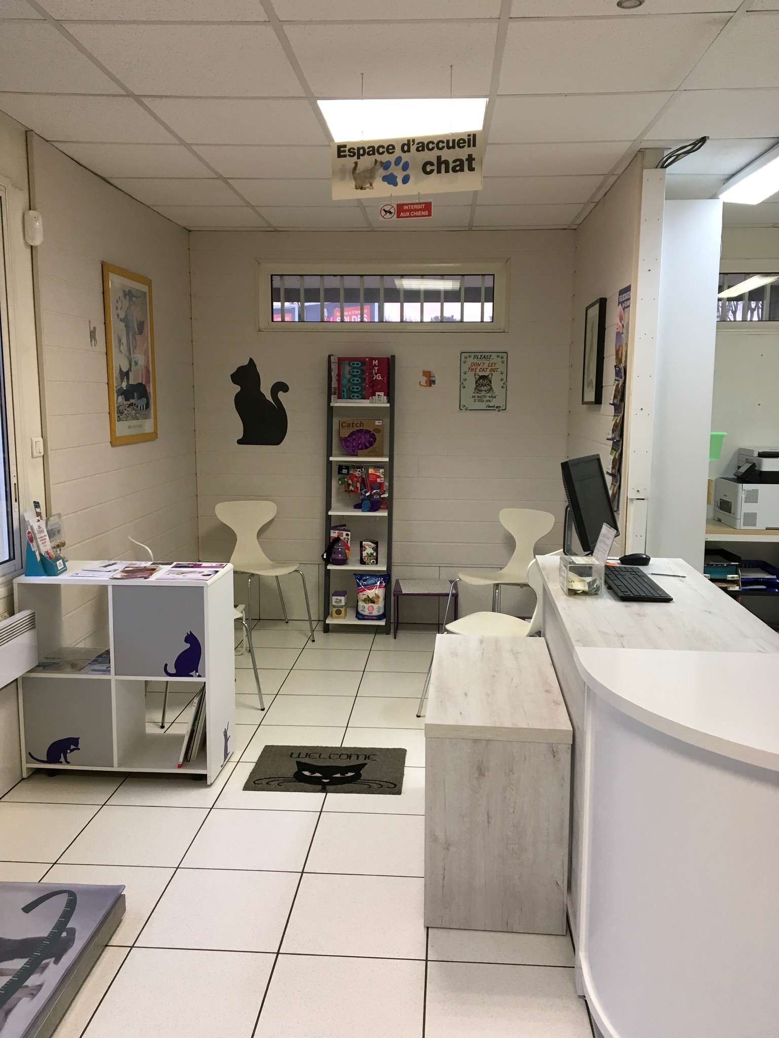 Salle d'attente chats