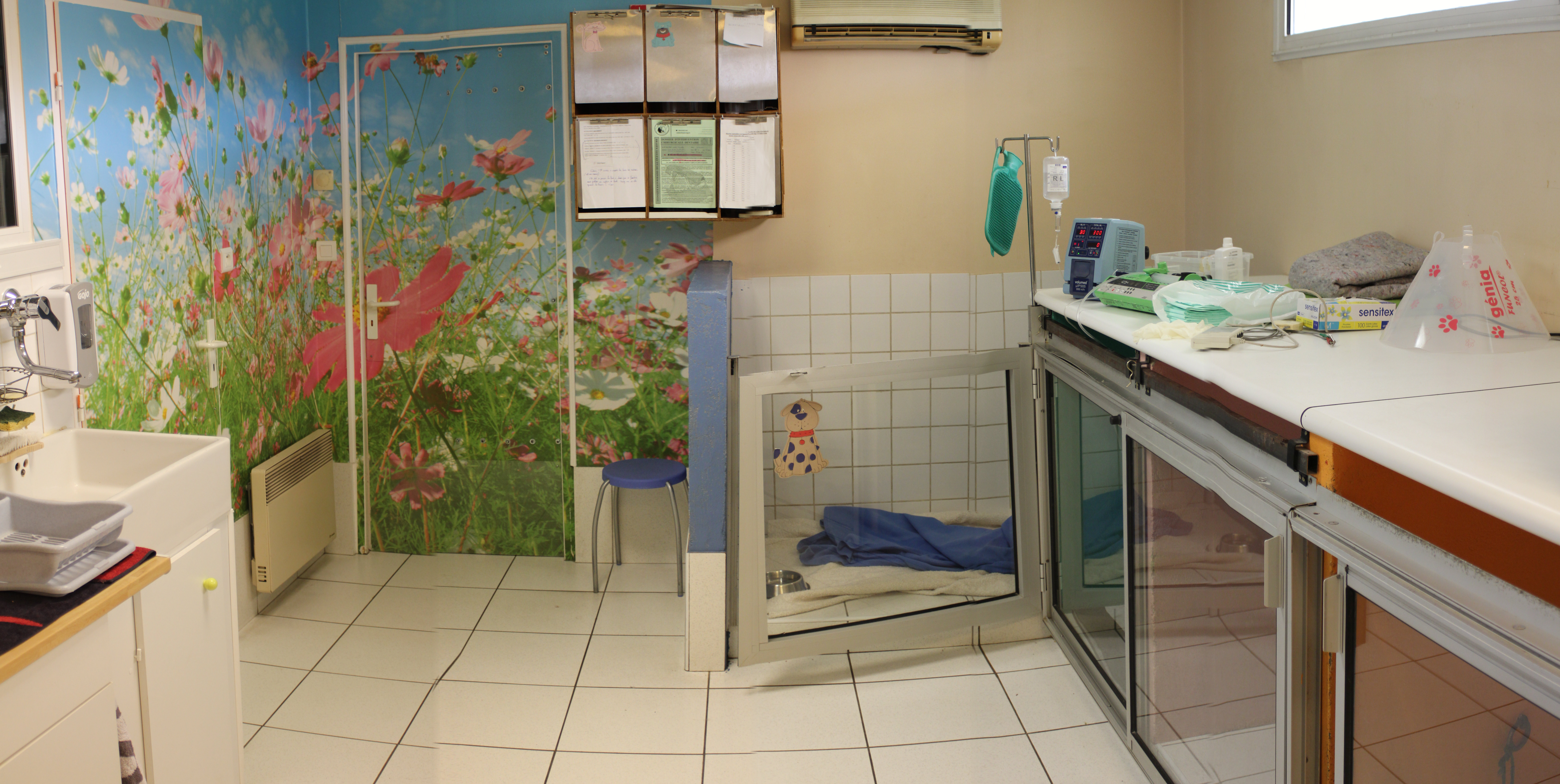 Chenil d'Hospitalisation