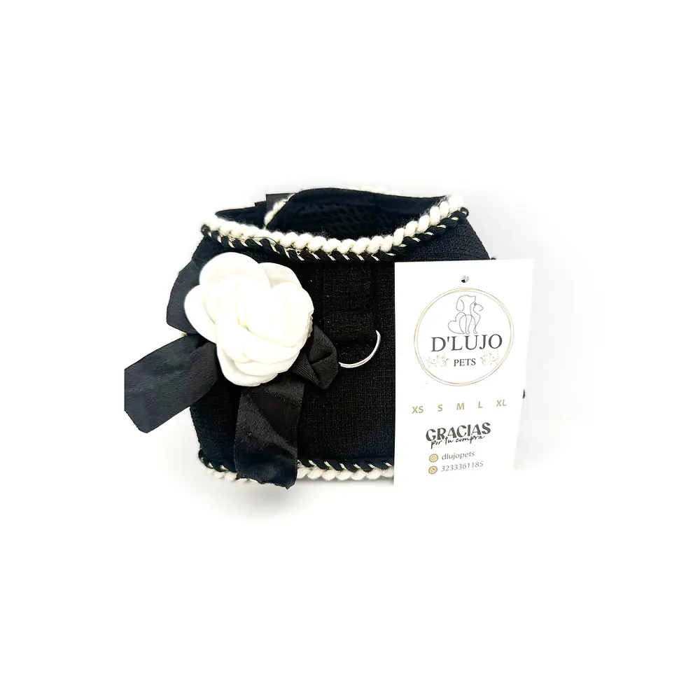 Miniatura: Pechera para teckel Black Elegance de D’Lujo Pets