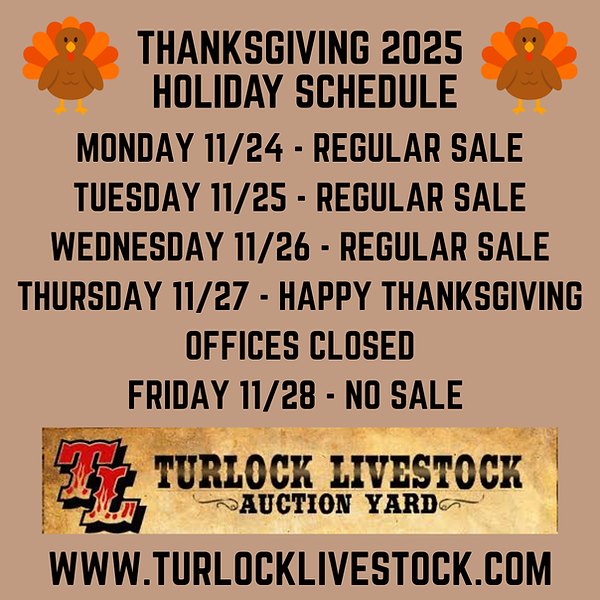 2025 THANKSGIVING SCHED.png