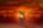 like-2734960_1280.jpg