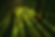 forest-3801537_960_720.jpg