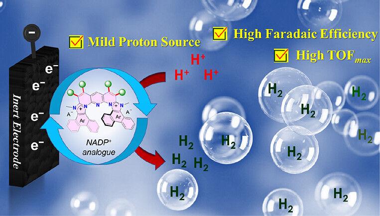 J. Am. Chem. Soc. 2023, 145, 31, 17321–17328