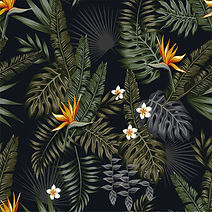 Tropical.jpg