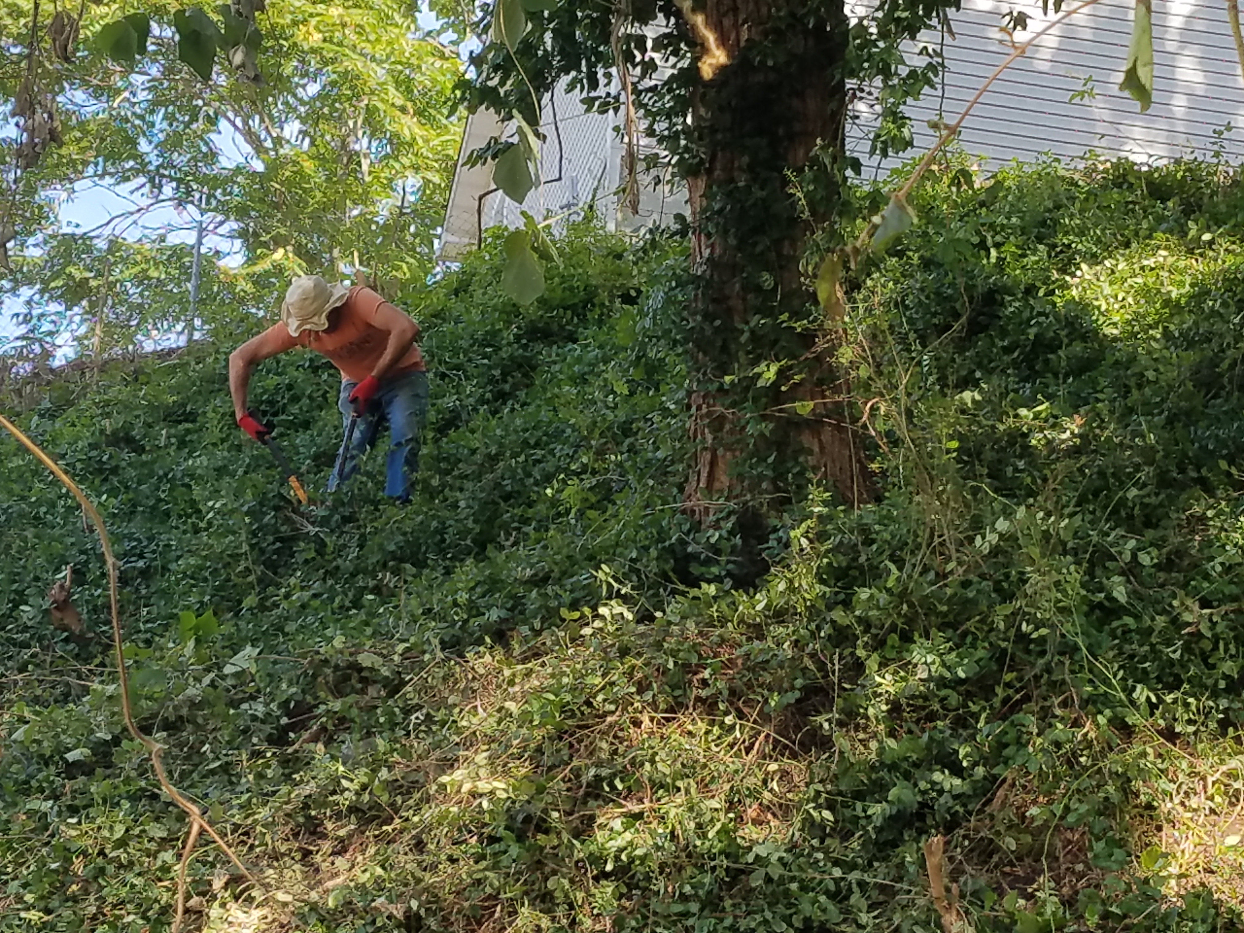 20170809_103012