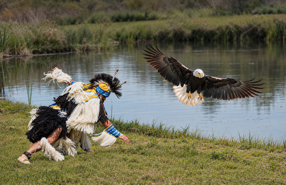 Spirit of the eagle 3