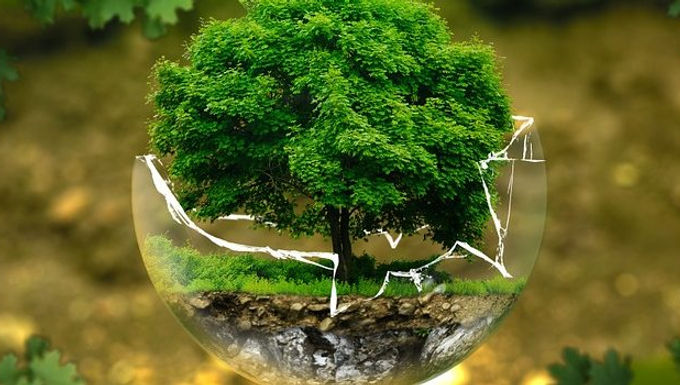 Foreword This series examines literary criticism from all angles, examining numerous analytical frameworks, modes of interpretation, and constraints. It belongs to the degree in English Studies offered by the Complutense University of Madrid. Once the series comes to completion, the reader may be able to analyze the components that contribute to a text's literary character, such as coherence and literality, and will develop a critical approach toward contemporary literary theory. The reader of these articles might grasp the shifting paradigms of fiction analysis within this theoretical framework, establishing a link between the philosophy of language and the evolution of analytical methods in literary criticism. This series aims to offer an insight into the complex relationship between style and the cultural environment, historical factors that have shaped the idea of style as well as the changing literary canon. By examining the complex ways in which literature, language, and culture interact with one another, this series aims to help the readers develop their capacity for critical thinking and interpretation. This Literary Theory Series is divided into the following chapters: Literary Theory Series: Unveiling the Collective Subconscious in Myth Criticism Literary Theory Series: Challenging Gender Dynamics in Literature  Literary Theory Series: Power Structures and Cultural Studies in Literary Analysis  Literary Theory Series: Umberto Eco's Influence on Reader Response Criticism  Literary Theory Series: Power Dynamics and Postcolonial Perspectives  Literary Theory Series: Contemporary Ecocriticism Literary Theory Series: Contemporary Ecocriticism 	The surge in environmentalism throughout the 1960s and 1970s had a pivotal role in the development of Ecocriticism and Green Studies. The emergence of these academic disciplines may be traced back to a combination of worries over environmental deterioration and an increasing recognition of ecological matters. This interest eventually developed into a broader movement, leading to the development of Ecocriticism and Environmental Humanities as separate academic fields. Scholars, driven by a desire to delve into the connections between literature, culture, and the environment, embarked on the formation of these areas of study. Later, during the course of the 1990s, there was a growing fascination in environmental topics and their cultural implications. Ecocriticism is an academic approach that entails analyzing literature and other forms of cultural expression through an environmental lens. Ecocritics strive to reinforce consciousness and foster contemplation on ecological concerns. It includes a critical assessment of how nature is portrayed. In other words, it: “explores the relations between literature and the biological and physical environment, conducted with an acute awareness of the devastation that has been wrought on that environment by human activities” (Abrams & Harpham, 2009, p. 87). Hence, the foundational principles of ecocriticism are rooted in its dedication to conducting a rigorous examination and analysis of literature and other fields in order to identify and interpret the themes and storylines that explore the dynamic between human beings and entities that are not of the human species. Ecocriticism also endeavors to reveal the fundamental ideas and values that influence the portrayal of nature and the environment in artistic and literary creations. Essentially, ecocriticism functions as a mechanism for enlightening the readership about matters and anxieties pertaining to the environment by examining the representation of the link between humans and natural entities in creative forms. Ecocriticism serves as a valuable instrument for environmental education and activism, using literature and other research areas as modalities to examine, interrogate, and convey the intricate interplay between human beings and the natural world. This conceptual framework leads to a more comprehensive ecological awareness, promoting an enhanced recognition of the need of sustainable connections with the nonhuman realm. Ecocritics not only interpret the meaning of nature writing texts. They also use those texts as a context for analyzing the ideology and practices of our society in relationship to nature. Often, the result is a critique of how our culture devalues and degrades the natural world. the study of the relationship between literature and the physical environment. Just as feminist criticism examines language and literature from a gender- conscious perspective, and Marxist criticism brings an awareness of modes of production and economic class to its reading of texts, ecocriticism takes an earth-centered approach to literary studies (Glotfelty & Fromm, 1996, xviii). 	This quotation might capture the unique methodology used by ecocriticism, highlighting its double function of analyzing works within the genre of nature writing and using them as a framework to critically examine social beliefs and behaviors in connection to the natural world. It might place ecocriticism as an intellectual tradition that runs parallel to the other fields of investigation. The parallel highlights the multidisciplinary character of ecocriticism by associating it with well-established critical frameworks. Similar to how feminist critique utilizes a gender-conscious viewpoint and Marxist criticism integrates an understanding of economic class, ecocriticism, as emphasized, embraces an earth-centered perspective. The mention of the examination of the correlation between literature and the tangible surroundings situates ecocriticism as an academic discipline that serves as a link between the realms of the humanities and the sciences. Integrating an interdisciplinary technique is critical for understanding the interaction between literature and the environment, highlighting the complicated and mutually dependent relationship between human and non-human components. Glotfelty and Fromm underscore the position of ecocriticism within the field of literary studies as well. It presents ecocriticism as a method of analysis that not only interprets textual significances, but also serves as a potent instrument for critiquing society. This aligns with broader currents in critical theory that aim to expose and question deeply entrenched societal frameworks and conventions as Feminism and Marxism set out to do. Furthermore, the quotation highlights the social character of ecocriticism, emphasizing that its scope goes beyond the examination of literature to embrace the wider connection between society and the natural world. The analysis of how culture undermines and diminishes the natural world could imply that ecocriticism functions as a kind of cultural criticism, questioning established standards and behaviors that contribute to the deterioration of the environment. The claim that ecocritics expand their study beyond the area of text to evaluate the wider ramifications for society could align with the idea that literature functions as a reflective tool, showcasing societal values and attitudes. A primary concern in the first wave of Ecocriticism was the gravity of the environmental crisis. Thus, the capacity for imagination is called into question, necessitating the investigation of novel viewpoints in order to comprehend the complex relationship between humanity and the environment. This wave, kept the cultural distinction between human and nature, promoting the value of nature. The inception of the second phase of Ecocriticism may be traced back to the 1960s, coinciding with the release of Rachel Carson’s Silent Spring; an “earth-centered approach” (Glotfelty & Fromm, 1996, xviii) with “human culture is connected to the physical world, affecting it and affected by it” (Glotfelty & Fromm, 1996, xix). This initiative is focused on exploring environmental concerns with the goal of increasing readers' understanding. It seeks to do this by revisiting, reissuing, and reassessing works in the genre of nature writing, which encompasses a range of historical periods, literary genres, and authorial viewpoints. By reframing the text inside the framework of the natural world, it serves to reevaluate the significance of Nature Writing and establish a renewed connection between the social, cultural, and ecological aspects. The prism of culture through which we see nature plays a significant role in shaping our understanding of it. Lawrence Buell, an established authority in the field of literature and the environment, investigates the convergence of literary works and eco-friendly ideologies, focusing specifically on the impact of Henry David Thoreau. His seminal contributions have significantly influenced discourse surrounding the correlation between literary and the environment, thereby making an enduring mark on the discipline of ecocriticism. According to Lawrence Buell (1995) environmentally oriented works display the following characteristics: the existence of the non-human environment is not limited to being a simple framing device, but rather it emerges as a significant entity that implies the interconnectedness of human history with natural history. The text's ethical foundation encompasses the concept of human responsibility towards the environment. 	This could exhibit an understanding of the environment as a dynamic process rather than a static entity. The functioning of Earth's ecosystems relies on physical processes that occur independently of and beyond human influence. Therefore, human beings continue to be intricately connected, albeit often imperceptibly, with the existence of many non-human entities. In contrast, the second wave of environmentalism exhibits a unique modernity by challenging the traditional boundaries between the human and non-human realms, so prompting critical inquiries into the fundamental nature of these notions. The third stage of Ecocriticism examines the underlying principles about the semiotic creation of discourse, particularly in relation to how literary language shapes our understanding of animals and people. The process of reestablishing the foundation and altering the structure of language. New Materialism, included in the second section of this article is often considered a fourth wave of Ecocriticism. The discourse around the demarcation between the human and non-human entities, as well as the distinction between nature and non-nature, is examined as socially constructed phenomenon. Ecocritics actively question these constructs, raising inquiries into how they shape perceptions of the environmental problem and its potential resolution. Buell (1995) states that this movement prompted a reevaluation of the meaning of the word "environment," expanding its semantic criteria to include both "nature" and urban environments. At the foundation of ecocriticism lies the preservation of a dominant viewpoint: “a commitment to environmentality from whatever critical vantage point” (Buell, 1995, p. 11). 	To summarize, the emergence of Ecocriticism and Environmental Humanities as academic fields may be attributed to the environmental movement that gained momentum throughout the 1960s and 1970s. This highlights the need of an interdisciplinary approach in order to fully grasp the intricacies of environmental issues. Glotfelty and Fromm attempt to capture the twin function of ecocriticism, which involves the interpretation of natural texts as well as the critical analysis of social perspectives on the environment. The emergence of the third wave signifies a contemporary perspective that questions the delineation between the human and non-human realms, while also delving further into the examination of language's function. The proliferation of the ecojustice movement within the field of ecocriticism serves to expand the conceptual boundaries of the term "environment" and foster a heightened awareness of social disparities. Collectively, these fields of study foster a holistic understanding of the interrelationships among literature, culture, and the environment, which is crucial for effectively tackling present-day environmental challenges. The ecojustice movement, as a part of the field of ecocriticism, expands the conceptualization of the word "environment" by establishing connections between environmental concerns and social inequalities. These connections are crucial aspects to be considered while examining the narrative of the Anthropocene. Collectively, these disciplines provide multidisciplinary perspectives that are essential for effectively addressing the intricate challenges of the Anthropocene epoch. Anthropocene 	The term "Anthropocene" refers to a suggested geological period characterized by the commencement of substantial human impact on the Earth's geology and ecosystems, including phenomena such as climate change. The term "Anthropocene" is etymologically rooted in the Ancient Greek terms 'Anthropos,' which denotes "human," and '-cene,' derived from 'kainos,' denoting "new." The word was first used as early as the 1960s, specifically referring to the Quaternary, which is recognized as the most recent geological epoch. The term "Anthropocene" was first proposed by ecologist Eugene F. Stoermer in the 1980s, and it gained significant recognition in 2000 with the contributions of atmospheric chemist Paul J. Crutzen and ecologist Eugene F. Stoermer. The publication titled "The 'Anthropocene'" (2000), which appeared in the Global Change Newsletter, significantly contributed to the dissemination and acceptance of the word among the scientific community. The Anthropocene, characterized as a geological and climatological epoch defined by the overwhelming impact of human activity, has an inherent paradox. This irony is shown by seemingly 'ordinary' processes that often surpass established boundaries. This is seen in events such as unprecedented or severe climatic phenomena, the simplicity or degradation of ecosystems, and incidences of die-back or collapse. The notion of the Anthropocene, which symbolizes human domination, ironically highpoints the significant effects on supposedly autonomous natural systems, thereby stressing the complex interface between human-driven forces and occurrences that appear to be 'natural': The major irony of the Anthropocene is that, though named as that era in the planet’s natural history in which humanity itself becomes a decisive geological and climatological force, it manifests itself to us primarily through the domain of ‘natural’ becoming, as it were, dangerously out of bounds, in extreme or unprecedented weather events, ecosystems becoming simplified or trashed, die-back or collapse (Timothy Clark, 2016, p. 6). 	Dipesh Chakrabarty, an eminent Indian academic specializing in postcolonial and subaltern studies, has made significant contributions to the field of ecocriticism by actively engaging with the discipline of environmental history. Chakrabarty's work invites a reevaluation of traditional historical narratives by emphasizing the interconnectedness between human history, particularly within the framework of colonialism, and the natural world. This author's research prompts academics to contemplate the environmental ramifications of past occurrences, emphasizing the complex interplay between human actions and the natural world. Chakrabarty's significant contribution is in promoting a comprehensive perspective on history, highlighting the interconnectedness between human history and the biological environment.  In the year 2009, Chakrabarty brought attention to a notable predicament presented by the Anthropocene epoch. He referred to the erosion of the longstanding dichotomy between natural history and human history within the realm of humanism. This remark concisely captures the significant difficulty posed by the Anthropocene period, characterized by the extensive and impactful impact of human activities on the Earth's geological and biological processes, resulting in their transformation. Nevertheless, considering the advent of the Anthropocene epoch, human activities have emerged as a geological phenomenon, therefore eroding the conventional demarcation between entities classified as natural and those attributed to human agency. Chakrabarty's finding highlights the need to reassess and reexamine the conceptual frameworks that shape our comprehension and narration of historical events. The concept of the Anthropocene questions the dichotomy between human history and natural history, emphasizing the interdependence between human actions and the Earth's systems. The erosion of the conventional differentiation necessitates a reassessment to understand the interconnection between human beings and the natural world within the framework of this emerging geological era. In summary, the notion of the Anthropocene refers to a geological and ecological period characterized by substantial human influence on Earth's systems. This idea presents a complex relationship between human actions and seemingly 'natural' events. It is crucial to remark that Chakrabarty's analysis draws attention to the breakdown of the conventional distinction between human and natural history, emphasizing the intricate nature of the Anthropocene epoch. This occurrence invites a reassessment of established historical narratives, compelling researchers to contemplate the environmental ramifications of past events. In the context of the Anthropocene era, which is marked by exceptional weather phenomena and ecological disturbances, there is a growing recognition of the need to develop a thorough understanding of the interconnectedness between human and environmental systems. Chakrabarty's observations need a reevaluation of conceptual frameworks, prompting the needed consideration of the complex interplay between humans and the environment during this epoch of significant geological change. Material Ecocriticism 	Material ecocriticism is widely recognized as a very prosperous area of study within the broader field of ecocriticism. This method surpasses the examination of depictions of nature in literature and other cultural mediums, which may be considered a common focus in conventional ecocriticism and its fourth wave of investigation. This growing field within the realm of ecocriticism, demonstrates a sensitive level of involvement with the contemporary ecological challenges. In contrast, this discipline prioritizes the examination of the tangible aspects of ecological concerns and the interdependent connections between human and nonhuman things. This academic branch of knowledge that examines the physical aspects of the environment, delves into the ways in which human actions, technology, and natural components overlap and influence ecological systems. This area of study explores the concrete elements of the environment, examining the observable consequences of human activities on various geographical areas, ecological systems, and the overall Earth system. Karen Barad, an influential scholar in the field of material ecocriticism, has a significant position with the contribution of her landmark publication, Meeting the Universe Halfway  (2007). Barad, a quantum physicist, has made significant academic influence by offering a novel understanding of agency. She aims to extend the application of her comprehension of natural phenomena rendering it at a larger scale, such as those seen in the realms of nature or society. Her concept of "agential realism," presents the notion of "intra-action" as a significant divergence from traditional understandings of agency, beyond its typical association with human subjectivity. Specifically, Barad reconceptualizes agency as a dynamic activity that takes place within certain contexts and has a substantial influence on the respective domain. This conceptual framework offers a detailed reconfiguration of the traditional conception of agency, beyond its limited connection to human subjectivity. The term "intra-action" refers to a state in which the individual entities involved do not exist independently prior to their relational dynamics. Rather, their development is closely intertwined with the ongoing interaction of these connections. To Barad, agency is to be apprehended as “a matter of intra-acting; it is an enactment, not something that someone or something has” (Barad, 2007, p. 235). 	This view aims to examine the dynamics of literary entities and their interactions within certain contextual frameworks. Barad urges researchers to transcend the conventional perspective of agency as an innate attribute limited to specific characters or themes. In contrast, she places significant emphasis on the interrelatedness and contextual integration of literary components. This may highlight how ecocritical studies include the examination of characters, situations, and ecological themes as essential components within a larger story, so reflecting the recognized ecological interconnectedness seen in the natural world. Barad's viewpoint is in accordance with the ecocritical focus on emergent ecological phenomena, which encourages researchers to investigate the emergence of agency from the intricate interconnections of literary pieces within larger ecological narratives. Barad's theoretical framework offers ecocriticism a novel perspective through for comprehending the intricate interactions that exist throughout literary ecosystems. Barad's conceptual framework for comprehending agency within literary ecosystems, has substantial significance in the context of the Anthropocene. Her focus on the interdependence of literary entities corresponds with the acknowledgment of the complex network of connections that define the Anthropocene epoch, which is distinguished by the significant influence of human activities on the ecosystems of the Earth. In the contemporary era, there exists a complex interconnection between human and non-human entities, whereby a story unfolds including alterations in the environment, disturbances in ecological systems, and the repercussions of human actions onto the Earth. Moreover, this emphasis on contextual embeddedness as emphasized by Barad has significance within the framework of the Anthropocene, whereby the interconnections between socio-cultural, economic, and environmental factors are inseparable. This perspective could imply that literary works serve as reflective tools that illuminate the interconnectedness between human cultures and the natural environment, providing a valuable perspective for examining the many ramifications and intricacies of Anthropocene dynamics. Hence, the Anthropocene period is characterized by interactions with things outside the human realm, including both physical components and a scientifically driven investigation of ecosystems. This may entail a focused examination of previously disregarded subtleties within the natural realm and a shift towards attaining parity in environmental affairs. Its primary objective is to promote a more sustainable and improved global ecosystem for both human and non-human organisms via intentional efforts focused on the ongoing restoration and preservation of biodiversity. The appraisal of biodiversity, the protection of ecosystem services and processes, and the assurance of long-term species survival are seen as key topics to be addressed. This approach purposefully refrains from idealizing or romanticizing nature. The scholarly discussion pertaining to material nature is in accordance with this theoretical framework, illustrating a reality defined by the dynamic interactions or intra-actions of material substances that span the porous boundaries of physical entities, ecosystems, locales, and layers of existence: New materialisms insisting on the agency and significance of matter, maintain that even in the anthropocene, or, especially in the anthropocene, the substance of what was once called ‘nature,’ acts, interacts, and even intra-acts within, through, and around human bodies and practices (Alaimo, 2016, p. 1). 	 It could be debated then that actions take place in a field of relations between forces that all possess agentic capacities. Consideration might be given to the fact that the nature writing of the Anthropocene is colored by its attention to the forces of evolution or geology, or the behavior of organisms, substances, and climatic processes that operate independently of human intention, and to the altered reality that is emergent through the intentional, unintentional, and often unpredictable actions of industrial humanity with the distributed field of agency in the material world. Other scholars of material ecocriticism have expanded on Barad’s thoughts to stress the “vitality of matter,” such as Jane Bennett with her concept of “vibrant matter”. Bennett is a renowned scholar in the realm of political theory and academia, recognized for her significant contributions to the disciplines of political philosophy, environmental ethics, and cultural studies. She is primarily linked to the theoretical framework recognized as "vital materialism". In her seminal publication titled Vibrant Matter: A Political Ecology of Things , Bennett (2010) presents a critique of conventional anthropocentric viewpoints and advocates for a comprehensive comprehension of the political ramifications associated with the agency and liveliness of entities that are not human. Bennett's criticism emphasizes the need for a more complete comprehension of the political ramifications linked to the agency and vitality of non-human creatures. In her analysis, she investigates the manner in which diverse material things, including commonplace items as well as elemental forces, exercise their impact on social and governmental systems. Bennett writes that by “vitality” she means “the capacity of things—edibles, commodities, storms, metals—not only to impede or block the will and designs of humans but also to act as quasi agents or forces with trajectories, propensities, or tendencies of their own” (p. 8). The aim of her research is to reassess political interpretations by acknowledging the agency and power that exist inside non-human creatures. Bennett (2010) argues that by carefully considering the "force of things," a more sophisticated comprehension of political occurrences may be achieved. She aims to investigate the potential impact on political event interpretations when considering the presence and significance of non-human factors, as expressed in her own words, she points to: “articulate a vibrant materiality that runs alongside and inside humans to see how analyses of political events might change if we gave the force of things more due” (p. 8). Within the domain of ecocritical literary study, Harold Fromm underscores the intricate and multifaceted relationship between human beings and the natural environment. Fromm's depiction of the perpetual interplay between the environment and human bodies is congruent with the philosophical viewpoints espoused by Karen Barad and Jane Bennett. The focus placed by Fromm on the dynamic and linked character of human-environment connections aligns with the principles of Barad's agential realism, which posits that agency arises from interdependent relationships. The notions of "vibrant matter" and "vital materialism" put out by Bennett emphasize the agency of non-human phenomena. These ideas may be seen to align with Fromm's portrayal of environmental components as active players with their own inherent inclinations. Narratives and representations, therefore, serve as reflections of the ongoing interactions between human beings and the natural environment: The ‘environment,’ as we now apprehend it, runs right through us in endless waves, and if we were to watch ourselves via some ideal microscopic time-lapse video, we would see water, air, food, microbes, toxins entering our bodies as we shed, excrete, and exhale our processed materials back out (Fromm, 2009, p. 95). 	The phrase "shedding, excreting, and exhaling our processed materials back out" remarks the inherent cyclicality of the relationship, illustrating the absorption of surrounding chemicals and the subsequent elimination of resultant byproducts. This phenomenon elicits contemplation on the complex interconnections between human beings and the natural environment within the realm of ecocritical literary discourse. As a result, it promotes the inclination of researchers to embrace an ecological lens while doing literary study, acknowledging that tales and depictions serve as mirrors of the continuous interplay between humans and the natural world. The phrase "runs right through us in endless waves" implies a continuous interchange of materials, challenging the notion of the environment as separate from ourselves. The use of the term "ideal microscopic time-lapse video" serves to emphasize the dynamic nature of the interaction, as it envisions a constant influx of environmental elements into the human body. The circular process described in Fromm's tenets, whereby treated materials are subsequently returned to the environment, resonates with Bennett's argument for acknowledging the agency of non-human entities. These viewpoints together provide a challenge to anthropocentrism, calling upon researchers to undertake a more in-depth examination via an ecocritical gaze. This entails the examination of literature as a complex interaction between human and non-human entities, enhancing our comprehension of the subtle connections between mankind and the natural world inside literary works. These academic contributions might result in a reevaluation and restructuring of political perspectives. This emerging field of research offers a thorough and rich analysis of the complex interactions between people and the natural world, so enriching the dialogue around ecology and facilitating a more profound comprehension of the many confronting environmental issues. The Rhizome as Eco-Metaphor 	Simon Estok offers a comprehensive description of ecocriticism as well, which includes the examination of some ways in which the natural world operates within different material activities, this could bring to mind the rhizomatic ideas of interconnectivity and non-linearity. To develop these ideas, the rhizome is utilized as a metaphor to challenge the notion of direct and hierarchical thinking, instead promoting a network-like arrangement of connections. Rhizomes, as conceptualized by Guilles Deleuze and Felix Guattari, are linked networks that lack classified structures: “A rhizome has no beginning or end; it is always in the middle, between things, interbeing, intermezzo. The tree is filiation, but the rhizome is alliance, uniquely alliance” (Deleuze and Guattari, 1987, p. 27). Therefore, the rhizome may be seen as a complex network that expands without a clear hierarchy, without distinct starting or ending points. It exists in an underground domain, where its interconnectedness is complicated and constantly evolving. This aligns with Estok's understanding of ecocriticism as a theory that aims to explore the complex relationships between literature, the natural environment, and wider material practices. Estok highlights the unique ethical stance of ecocriticism and its commitment to the environment, going beyond a limited subject scope. The concordance presented here aligns with the principles of rhizomatic philosophy, which opposes hierarchical structures. It presents ecocriticism as a theoretical framework that has the potential to bring about significant transformations in several domains. He argues that: It is more than "simply the study of Nature or natural things in literature; rather, it is any theory that is committed to effecting change by analyzing the function–thematic, artistic, social, historical, ideological, theoretical, or otherwise—of the natural environment, or aspects of it, represented in documents (literary or other) that contribute to material practices in material worlds" (Estok, 2005, pp. 16-17). 	The dedication to establishing links, as emphasized by Estok, reflects the rhizomatic nature inherent in ecocriticism. Ecocriticism, in a similar vein, explores the complex connections between the natural environment and many components found within literature, including thematic, artistic, social, historical, ideological, and theoretical dimensions. This approach aligns with the rhizomatic structure, emphasizing the numerous interrelations within this field of study. Estok argues that: "ecocriticism has distinguished itself, debates notwithstanding, firstly by the ethical stand it takes, its commitment to the natural world as an important thing rather than simply as an object of thematic study, and, secondly, by its commitment to making connections” (Estok, 2001, p. 200). Therefore, in the realm of postmodern discourse, the concept of the rhizome could function as a means to expand the theoretical potential by deconstructing hierarchical forms of thinking. This perspective promotes a paradigm that is both creative and egalitarian, fostering equitable connections between entities of both human and non-human nature, in a rhizomatic connection. Estok's explication of ecocriticism, which involves the examination of the natural world's participation in many material endeavors, is in accordance with the rhizomatic concepts of interconnectedness and non-linearity. Ecocriticism, characterized by its rejection of hierarchical systems, aligns itself with rhizomatic philosophy, establishing a connection that fosters dynamism and the possibility for transformative outcomes. The use of the rhizome as a metaphorical device poses a challenge to the linear patterns of thinking that have been created, highlighting the unwavering dedication of ecocriticism to thoroughly study the numerous linkages that exist between literature, the environment, and material behaviors. This exposition of ecocriticism goes beyond a limited emphasis on nature in literature, elevating it to the status of a revolutionary theoretical framework. Estok argues that ecocriticism aims to bring about change by critically analyzing the representation of the natural environment in written texts. The unwavering commitment to forging links within the field of ecocriticism reflects the inherent rhizomatic character of this academic pursuit. Similar to rhizomes, ecocriticism engages in a thorough examination of the relationships between the environment and different aspects of literature, emphasizing the intricate interconnections that exist within this ecological discourse. Moreover, Estok's prioritization on the ethical foundations of ecocriticism aligns with the rhizomatic refusal of hierarchical frameworks. The use of the rhizome as a metaphor in the field of ecocriticism functions as a strategy to dismantle hierarchical structures and expand the scope of theoretical perspectives. The alignment described here aligns with the principles of ecocriticism, which aims to establish a fair and equal paradigm by promoting balanced relationships between human and non-human creatures within ecological discussions. Both the rhizome and ecocriticism, via their critique of established viewpoints, emphasize the concepts of interconnectivity, non-linearity, and transformational capacity. Within this framework, the rhizomatic alliance serves as a figurative depiction of the complex alliances existing within the field of ecocritical discourse. These associations include the interconnections between the natural world, literature, and material activities, forming a scholarly network that is both dynamic and interrelated. Final Thoughts 	The main purpose of this article is to provide readers with an analysis of contemporary ecocriticism, along with its application in academic and social contexts. Ecocriticism is posited as an academic discipline that seeks to disrupt the traditional dichotomy between the sciences and the humanities by prioritizing the intrinsic interconnectedness between literary, scientific, and ecological perspectives. This developing field portrays the fundamental interrelation between the realm of academics and broader social and environmental endeavors. It explores the dynamic relationship between literature and the natural environment within the context of the ecosystem, which is seen as a cohesive network of interrelated organisms. The interconnectedness of this approach is relevant to the wide array of fields that ecocriticism seeks to include. The primary aim of this study is to approach common ground across various perspectives. In conclusion, the rise and progression of ecocriticism and its related fields, such as Environmental Humanities, signify a significant response to the increasing recognition of environmental concerns. The discipline of Environmental Humanities has seen significant expansion, expanding its interdisciplinary scope to recognize the need for comprehensive methodologies that may successfully address complex environmental issues. 	The examination of the Anthropocene epoch underscores the substantial impact that human activities have had on Earth's systems, hence challenging conventional differentiations between natural and human history. Material ecocriticism focuses on the tangible aspects of environmental concerns and the intricate relationships between human and nonhuman entities. This methodology, influenced by scholars like Karen Barad and Jane Bennet, lays considerable importance on the vitality of material things and promotes a nuanced comprehension of agency that surpasses human subjectivity. Estok's analysis of the rhizome as an ecological metaphor within the framework of ecocritical discourse aligns with the discipline's commitment to embracing non-linear thought processes and acknowledging the intricate web of connections between various elements. The rhizomatic perspective offers a critical analysis of hierarchical structures, promoting a network-oriented arrangement of relationships that coincides with the concepts of ecocriticism. This method places significant emphasis on the analysis of intricate connections between literature, the natural environment, and greater material endeavors. In summary, contemporary ecocriticism encompasses several theoretical perspectives such as the discourse on the Anthropocene, material ecocriticism, and the rhizomatic eco-metaphor. These frameworks provide valuable conceptual tools for understanding and addressing the intricate relationships between human beings and the natural world. These strategies facilitate a comprehensive comprehension and admiration of ecological concerns, fostering multidisciplinary collaboration and underscoring the need of developing sustainable interactions with the natural world. The ongoing progression and scrutiny of these perspectives are crucial for properly tackling the complex environmental challenges of the contemporary day. Bibliographical References Alaimo, S. (2016). Exposed: Environmental Politics and Pleasures in Posthuman Times . University of Minnesota Press. Bennett, J. (2010). Vibrant Matter: A Political Ecology of Things . Duke University Press Books. Buell, L. (1995). The Environmental Imagination: Thoreau, Nature Writing, and the Formation of American Culture . Belknap Pres. Buell, L. (1998). Toxic Discourse. Critical Inquiry , 24(3), 639–665. Deleuze, G., & Guattari, F. (1987). A Thousand Plateaus: Capitalism and Schizophrenia . University of Minnesota Press. Estok, S. C. (2001). "A Report Card on Ecocriticism." AUMLA , 96, (November), 200–38. Estok, S. C. (2005). "Shakespeare and Ecocriticism: An Analysis of 'Home' and 'Power' in King Lear."  AUMLA , 103(May 2005), 15–41. Fromm, H. (2009). The Nature of Being Human . Johns Hopkins University Press. Garrard, G. (2004). Ecocriticism . Taylor & Francis. ‎University of Georgia Press. Glotfelty, C., & Fromm, H. (Eds.). (1996). The Ecocriticism Reader: Landmarks in Literary Ecology . Visual Sources Cover image: Environmental protection . (2023). Retrieved from: https://eco.lcir.co.uk/  Figure 1: Koval, A. (2018). Left handed person holding a green leaf plant . [Photograph]. Retrieved from: https://www.pexels.com/es-es/foto/la-mano-izquierda-de-la-persona-sosteniendo-una-planta-de-hoja-verde-886521/  Figure 2: Koval, A. (2016). Silhouette of trees . [Photograph]. Retrieved from: https://www.pexels.com/es-es/foto/silueta-de-arboles-39553/  Figure 3:  Grzenia, C. (n.d.). Picture of a book in nature .  [Photograph]. Retrieved from: https://www.iaa.uni-jena.de/en/sections/north-american-studies/ecocriticism-research-collective  Figure 4: Del Río, L. (2015). In the woods . [Photograph]. Retrieved from: https://www.pexels.com/es-es/foto/persona-caminando-entre-arboles-del-bosque-verde-15286/  Figure 5: Ray Troll/Troll Art. (n.d.). The Geologic History of Earth .  [Illustration]. Retrieved from: https://www.npr.org/sections/13.7/2016/10/01/495437158/climate-change-and-the-astrobiology-of-the-anthropocene  Figure  6: Čirjak , A. (2020). Human actions . [Photograph]. Retrieved from:https://www.worldatlas.com/articles/top-5-environmental-concerns-in-the-21st-century.html  Figure 7: D.P. (n.d.). Rhizome . [Photograph]. Retrieved from: https://www.jotdown.es/2020/09/el-rizoma-de-la-ciencia-del-bien-y-del-mal/