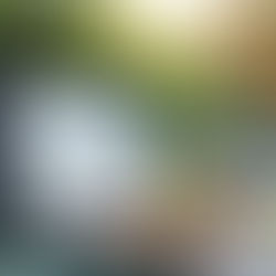 Ultimate Guide to Tennis Betting Exchanges