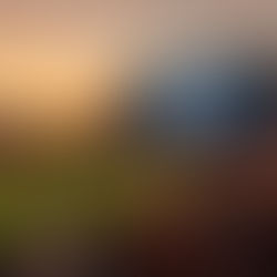 2025 Patriots Betting Guide: Playoffs Odds & Insights