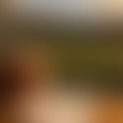 2025 New York Jets Betting Preview: Key Insights