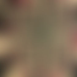 Essential Considerations for Selecting the Ideal Sports Betting Platform