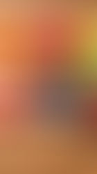 Top 12 Events to Run a Calcutta Auction