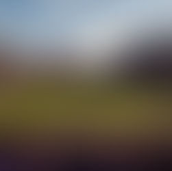 2025 Vikings Betting Preview: Odds, Challenges, Insights