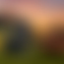 2025 Los Angeles Rams Betting Outlook