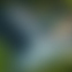 What Businesses Need to Know About California’s NEM 3.0 Program