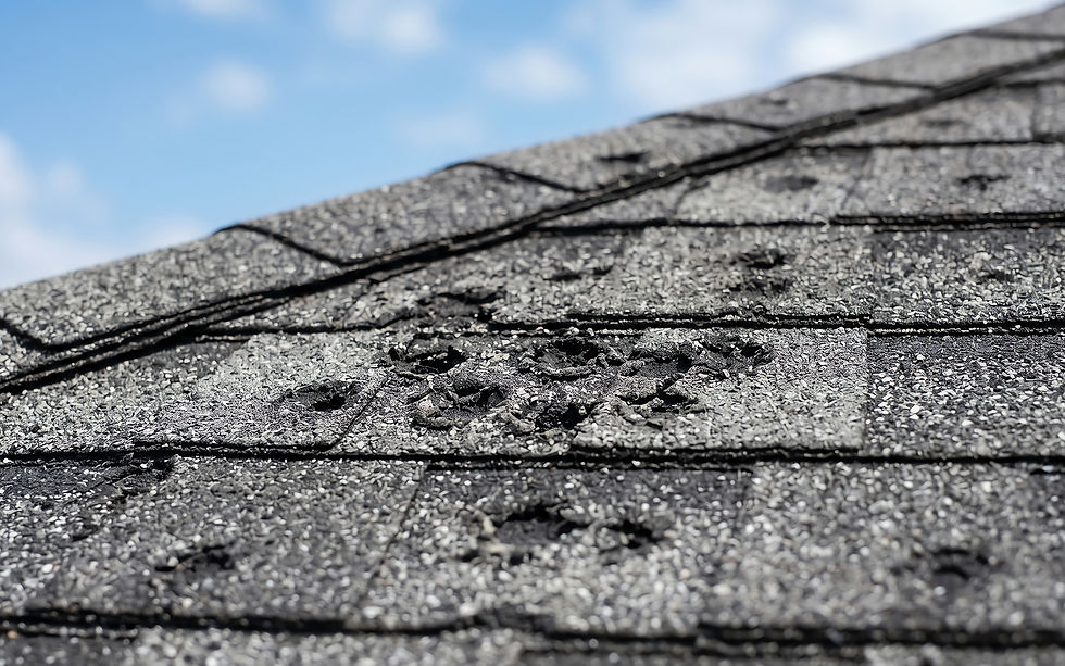 If Your Contractor Only Looked at Your Roof After a Chicagoland Hail Storm, You Left Money on the Table