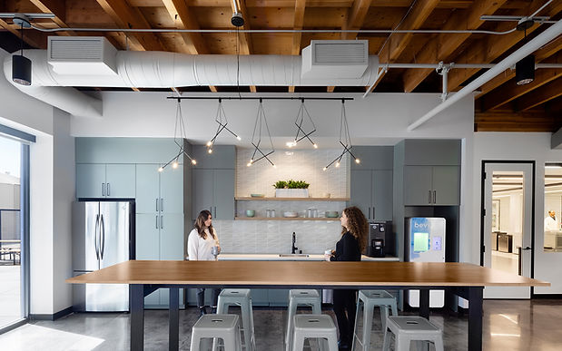 Office_Pivot-Bio-Project-3-1.jpg