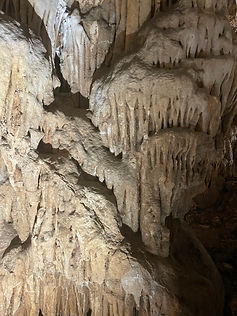 IMG_6290.jpeg