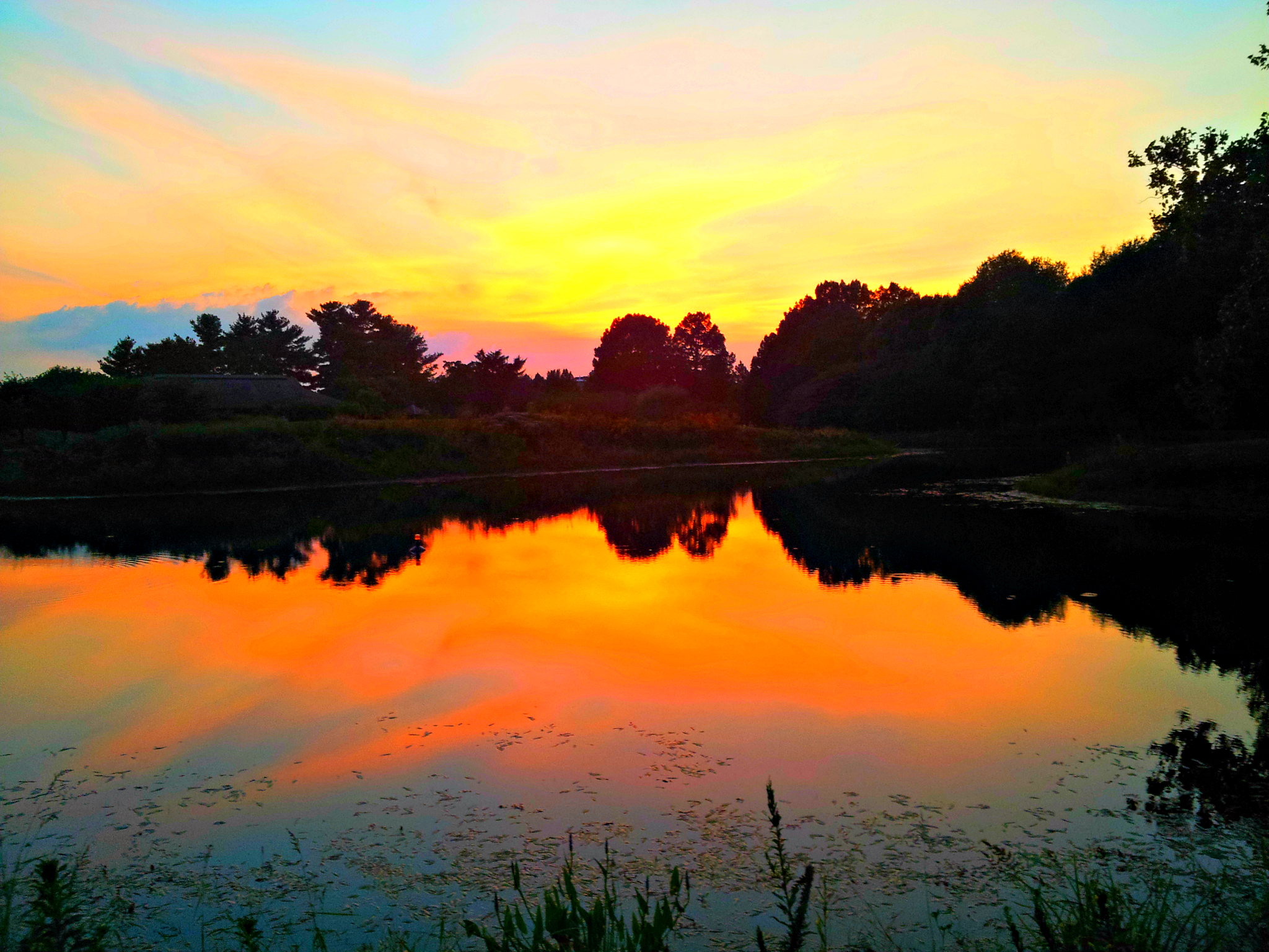 Sunset Reflections