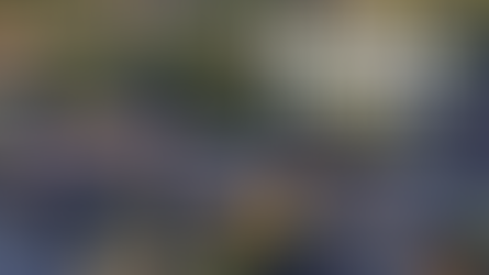 Join the Movement: Support Sustainable Stouffville Today!