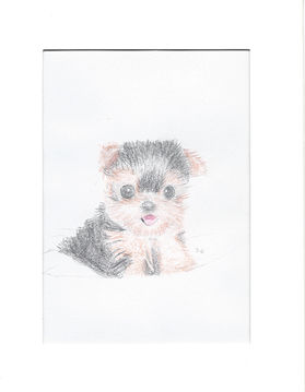 SCAN0016.JPG
