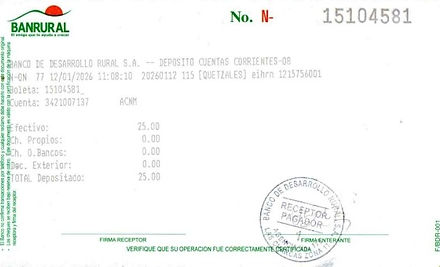 Ejemplo Boleta.jpg