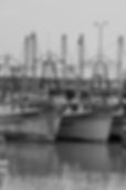 COPEVA AGOSTO_7.jpg