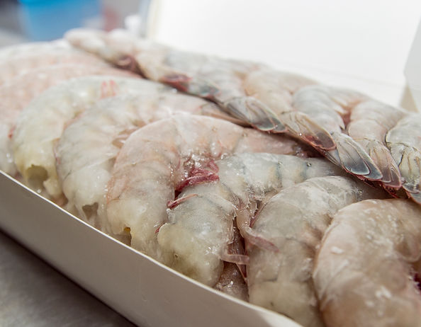 Shrimps Gavafoods 002 Shrimps Gavafoods 002