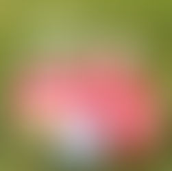 Mick J. Clark – I Want It More Than You: Determination Framed Through Direct Expression