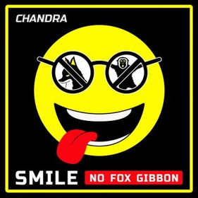 “SMILE (NO FOX GIBBON)” by Chandra