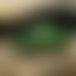 “PERFECT CONSTANT” by MatAre