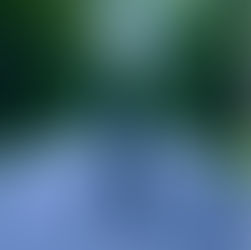 “THE WAY IT WAS” by Lauren Minear