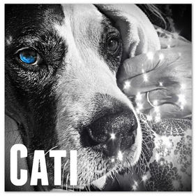 “CATI” by Ho Jo Fro