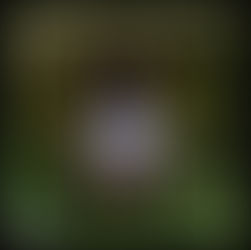 “ Scheiß Timing” by Madlen