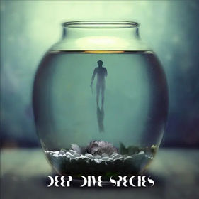 “HABITAT” by Deep Dive Species