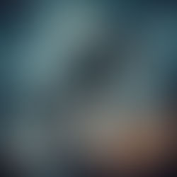 “FATAL WINGS” by Parham Gharavaisi