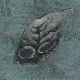 “DOG’S LIFE” by Plantoid