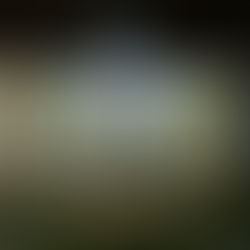 “BRAND NEW” Debut Single from Thandi Marie