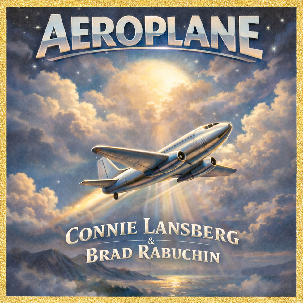 “AEROPLANE” by Connie Lansberg