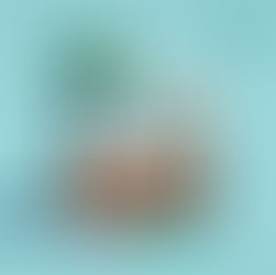 “VACATION” by Robert Vendetta