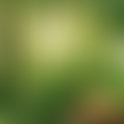 “SPACE BETWEEN US” by Alex Krawczyk