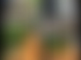 Is Your Deck Ready for Summer? A Homeowner’s Guide to Deck Restoration and Maintenance