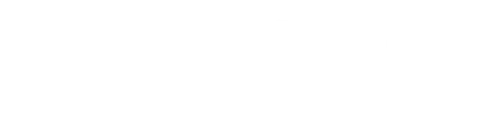 pilot_logo_white.png