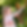 child-picking-fruit-edible-garden.png