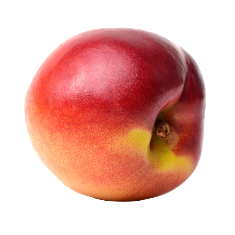 Nectar Babe (Dwarf) Fruitfool